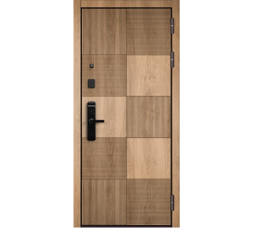 Входная дверь CITY LITE IQ PP 173