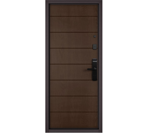 Входная дверь CITY LITE IQ PP 184