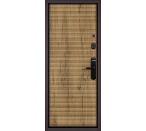 Входная дверь CITY LITE IQ PP 184