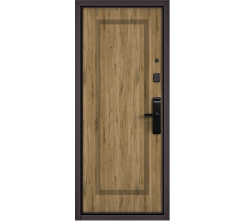 Входная дверь CITY LITE IQ PP 184