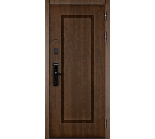 Входная дверь CITY LITE IQ PP 189