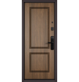 Входная дверь CITY LITE IQ PP 190