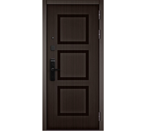 Входная дверь CITY LITE IQ PP 192