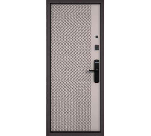 Входная дверь CITY LITE IQ PP 197
