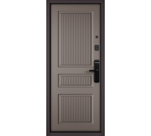 Входная дверь CITY LITE IQ PP 197