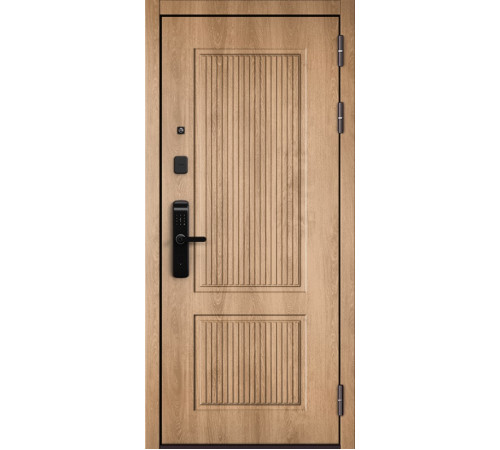 Входная дверь CITY LITE IQ PP 198
