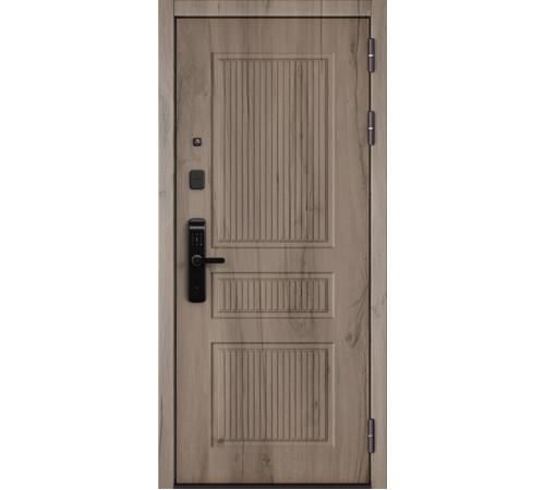 Входная дверь CITY LITE IQ PP 199