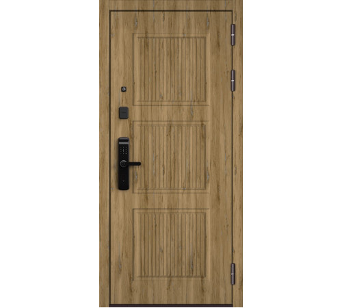 Входная дверь CITY LITE IQ PP 200