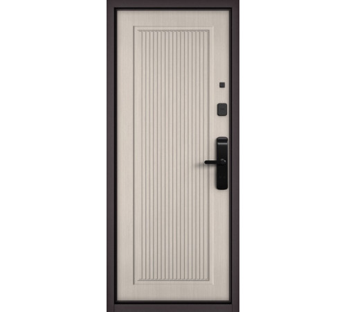 Входная дверь CITY LITE IQ PP 202