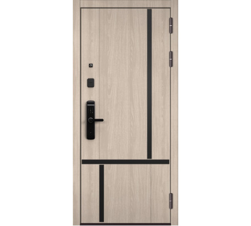 Входная дверь CITY LITE IQ PP 206