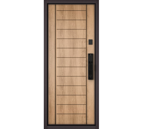 Входная дверь CITY MAX IQ PP 130