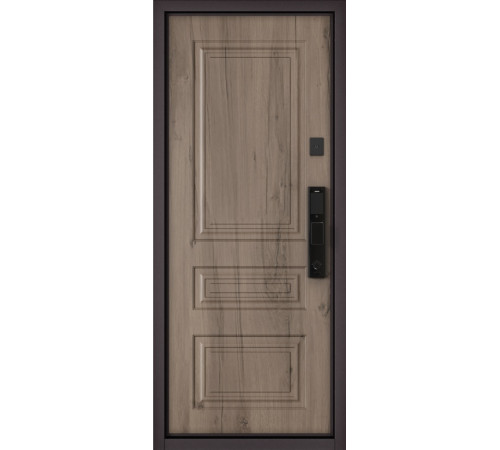 Входная дверь CITY MAX IQ PP 136