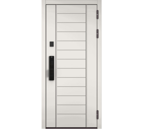 Входная дверь CITY MAX IQ PP 137