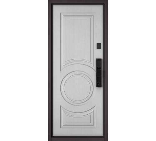 Входная дверь CITY MAX IQ PP 191