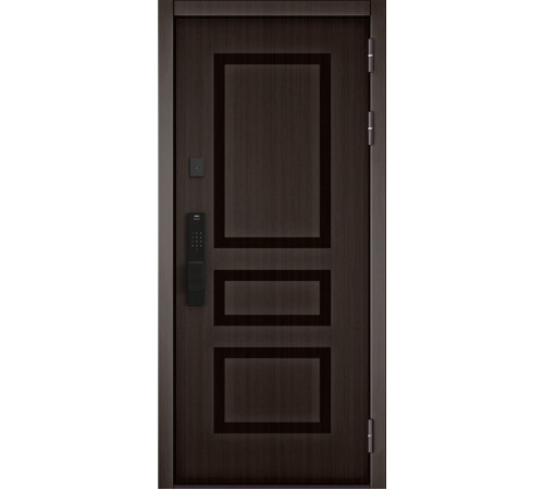 Входная дверь CITY MAX IQ PP 191
