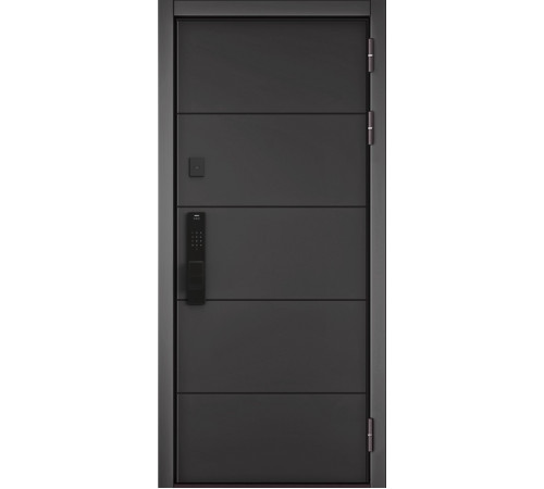 Входная дверь CITY MAX IQ PP 194