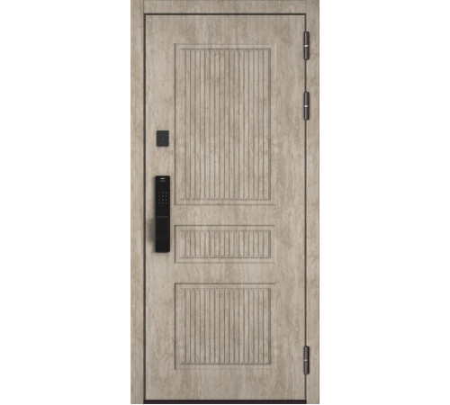 Входная дверь CITY MAX IQ PP 199