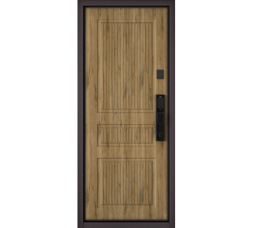 Входная дверь CITY MAX IQ PP 200