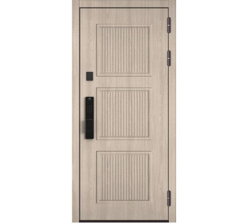 Входная дверь CITY MAX IQ PP 200