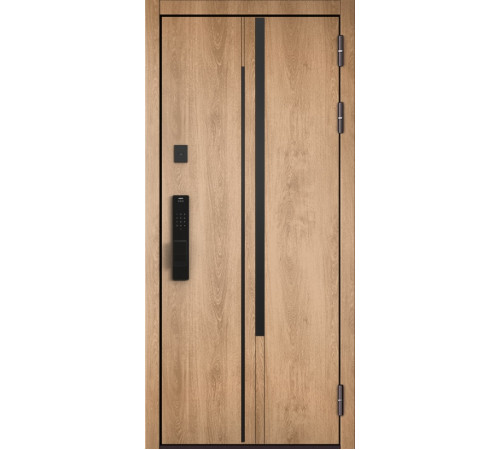 Входная дверь CITY MAX IQ PP 203