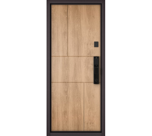 Входная дверь CITY MAX IQ PP 204