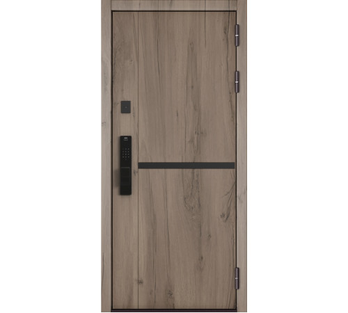Входная дверь CITY MAX IQ PP 204