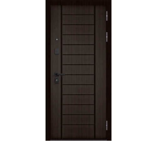 Входная дверь CITY LITE PP 137