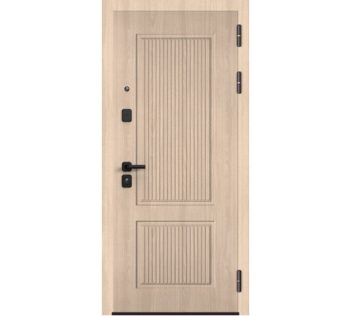 Входная дверь CITY LITE PP 198