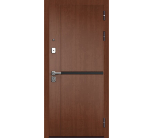 Входная дверь CITY LITE PP 204