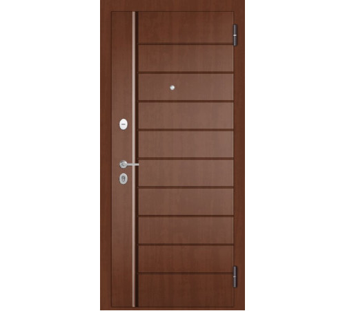 Входная дверь FAMILY ECO PP 136